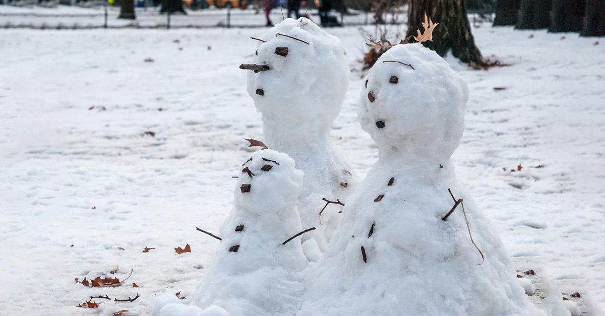 Welttag des Schneemanns World Day of Snowman 18. Januar 2024