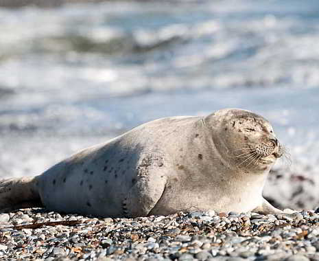 Tag des Schlafes in Deutschland. Kuriose Feiertage - 21. Juni © 2019 Sven Giese