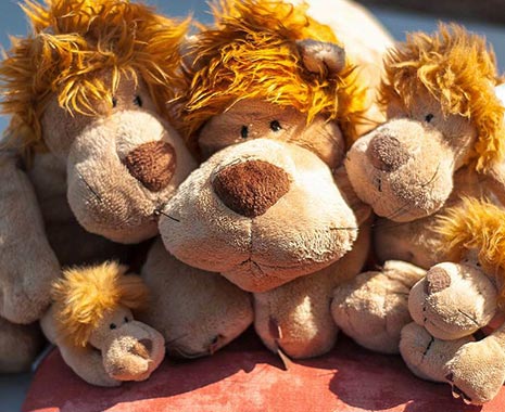 Cuddle Up Day - Tag des Kuschelns in den USA. Kuriose Feiertage - 6. Januar © 2019 Sven Giese