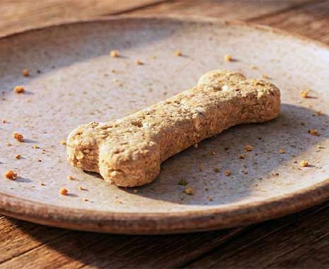 internationaler tag des hundekuchens kuriose feiertage 2026 sven giese featured