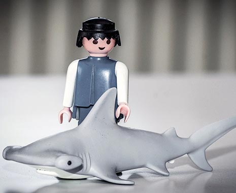 Hug a Shark Day - Umarme-einen-Hai-Tag. Kuriose Feiertage - erster Sonntag im Dezember © 2019 Sven Giese