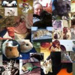 Love Your Pet Day - Liebe-Dein-Haustier-Tag in den USA. Kuriose Feiertage - 20. Februar © 2021 Sven Giese