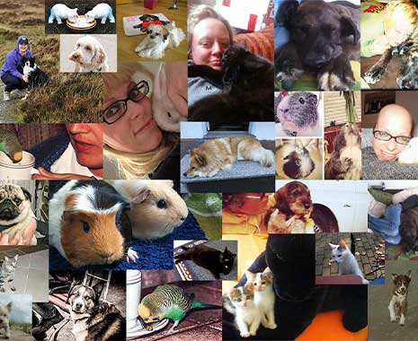 Love Your Pet Day - Liebe-Dein-Haustier-Tag in den USA. Kuriose Feiertage - 20. Februar © 2021 Sven Giese
