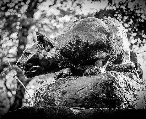 Walk on your Wild Side Day - Zeig-Deine-wilde-Seite-Tag in den USA. Kuriose Feiertage - 11. April © 2019 Sven Giese