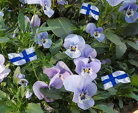 Vappu - das Frühlingsfest in Finnland. Kuriose Feiertage - 1. Mai © 2019 Sven Giese