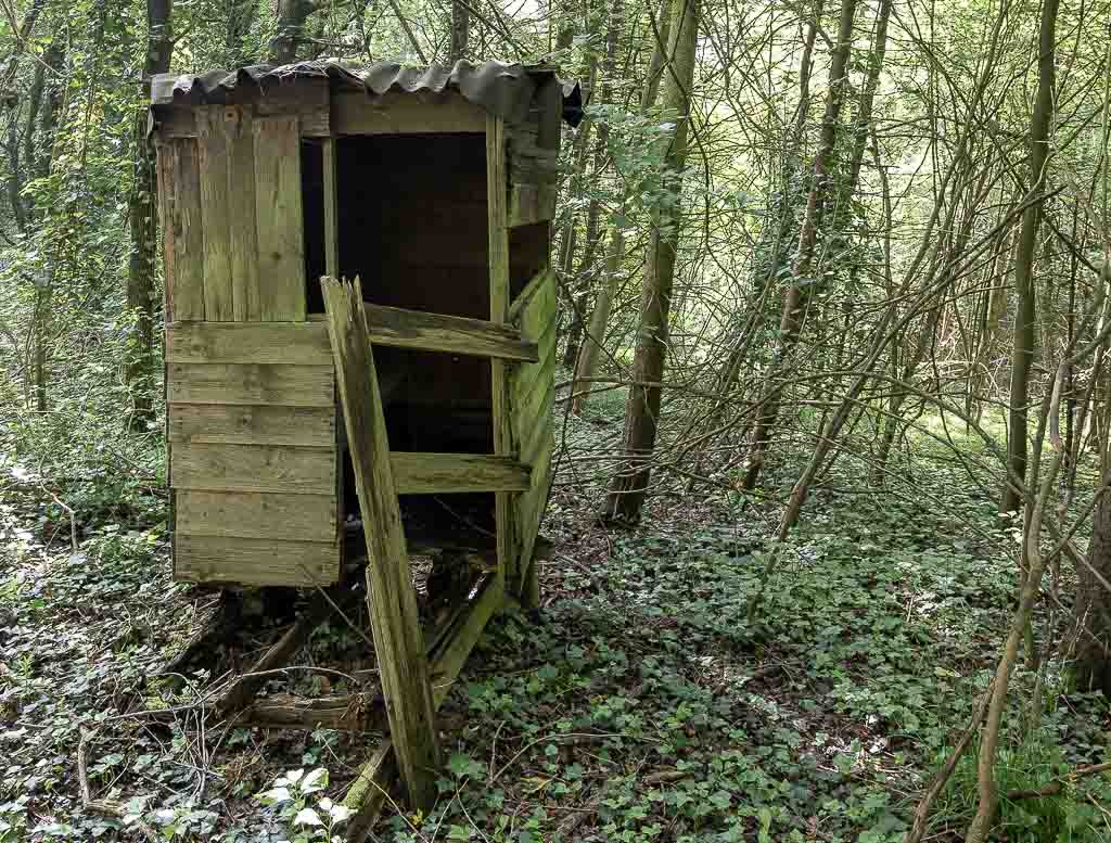 Blockhaus-Tag – National Log Cabin Day in den USA. Kuriose Feiertage - 25. Juni © 2025 Sven Giese. Alte, verfallene Holzhütte mit schiefer Tür in einem dichten, grünen Wald.