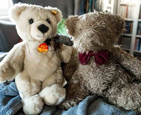 Teddy Bear Day - Teddybär-Tag in den USA. Kuriose Feiertage - 9. September © 2019 Sven Giese