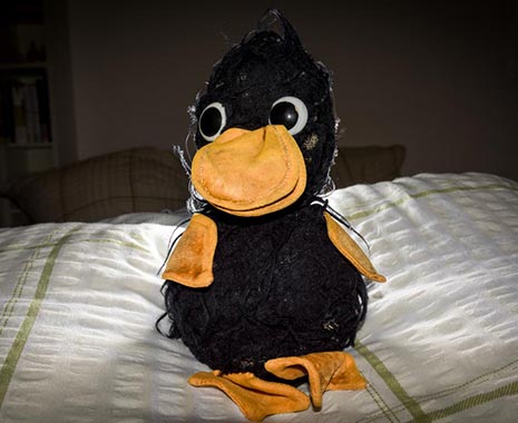 Plush Animal Lover's Day - Tag der Kuscheltier-Liebhaber in den USA. Kuriose Feiertage - 28. Oktober © 2019 Sven Giese