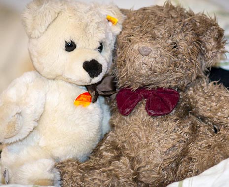 Have a Party with Your Bear Day - Feier-eine-Party-mit-Deinem-Bären-Tag in den USA. Kuriose Feiertage - 16. November © 2019 Sven Giese