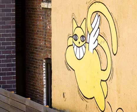 National Absurdity Day - Tag des Unsinns in den USA. Kuriose Feiertage - 20. November © 2020 Sven Giese