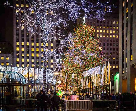 Look for an Evergreen Day - Such-einen-Weihnachtsbaum-Tag in den USA. Kuriose Feiertage - 19. Dezember © 2019 Sven Giese