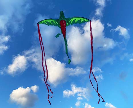 National Kite Flying Day - Drachen-steigen-lassen-Tag in den USA. Kuriose Feiertage - 8. Februar © 2021 Sven Giese