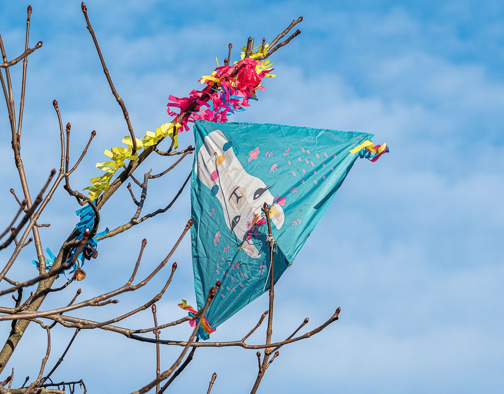 Türkiser Kinderdrachen hängt oben in kahlen Ästen, bunte Bänder flattern am Himmel.