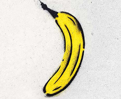 Banana Day - Tag der Banane in den USA. Kuriose Feiertage - dritter Mittwoch im April © 2021 Sven Giese