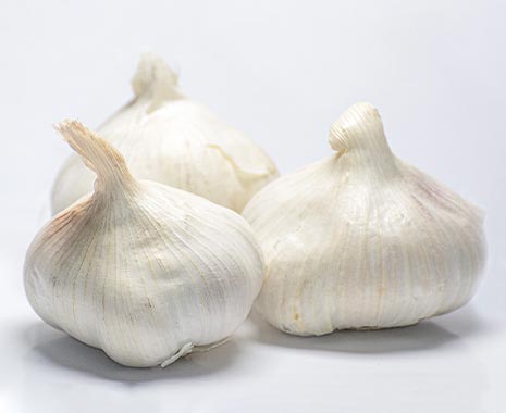 National Garlic Day und Garlic Lovers Day - Knoblauch-Tag in den USA. Kuriose Feiertage - 19. April und 6. Oktober © 2020 Sven Giese