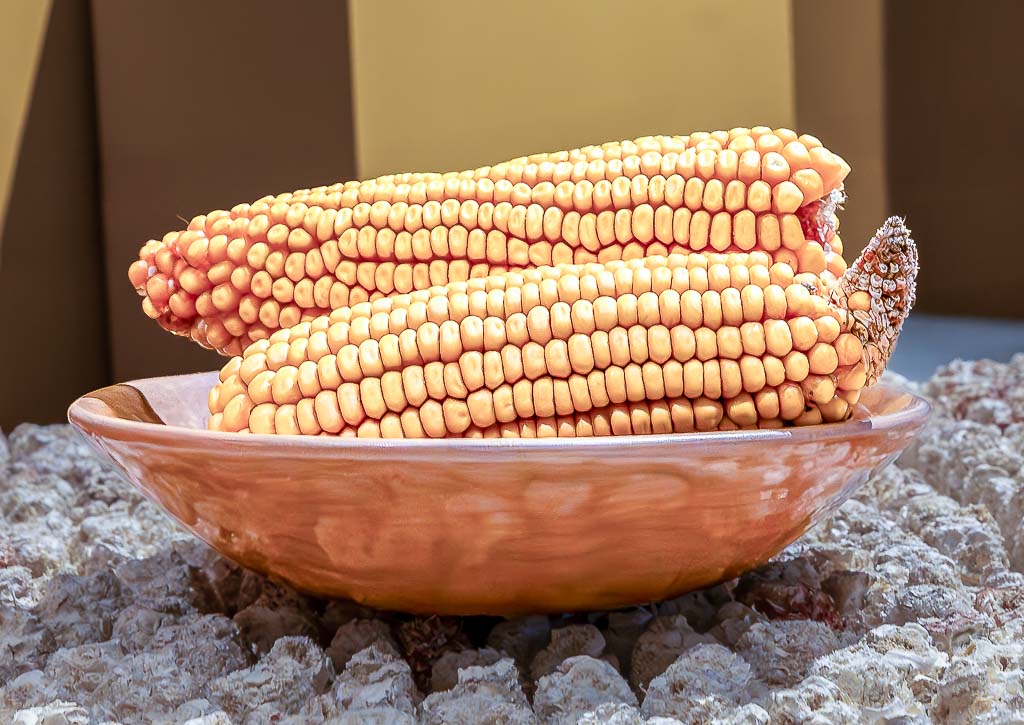 National Corn on the Cob Day – Tag des Maiskolbens in den USA. Kuriose Feiertage - 11. Juni © 2025 Sven Giese Zwei orangefarbene getrocknete Maiskolben auf einem Teller mit Körnern.