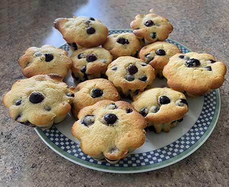National Blueberry Muffin Day - Tag des Blaubeermuffins in den USA. Kuriose Feiertage - 11. Juli © 2022 Sven Giese