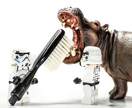 National Fresh Breath Day - Tag des frischen Atems in den USA. Kuriose Feiertage - 6. August © 2019 Sven Giese
