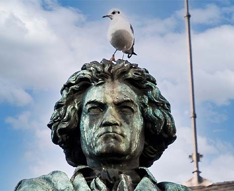 Make Your Own Head Day - Bastel-Deinen-eigenen-Kopf-Tag. Kuriose Feiertage - 28. November © 2020 Sven Giese