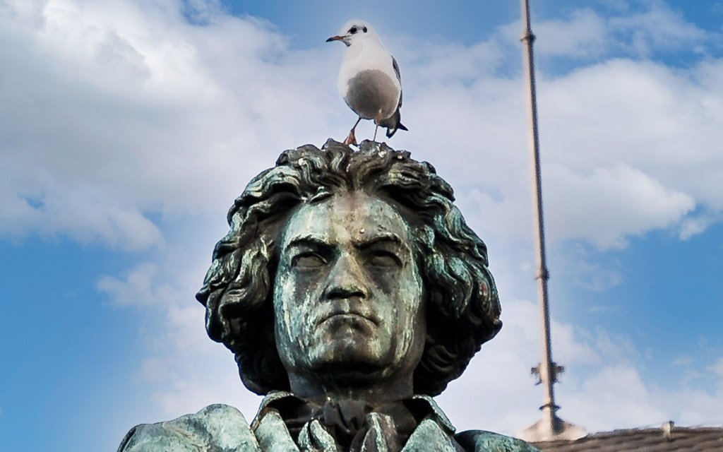 Make Your Own Head Day - Bastel-Deinen-eigenen-Kopf-Tag. Kuriose Feiertage - 28. November © 2020 Sven Giese - Bild 1 Eine Möwe sitzt auf dem Kopf einer Beethoven-Statue vor einem Himmel mit Wolken.