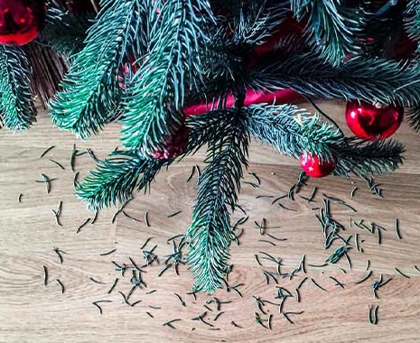 Falling Needles Family Fest Day - das Fest der rieselnden Tannennadeln in den USA. Kuriose Feiertage - 30. Dezember © 2019 Sven Giese