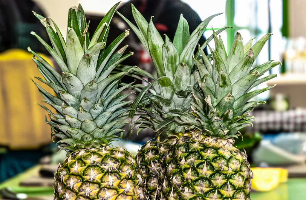 Drei frische Ananas mit grünen Blättern stehen nebeneinander auf einem Tisch.