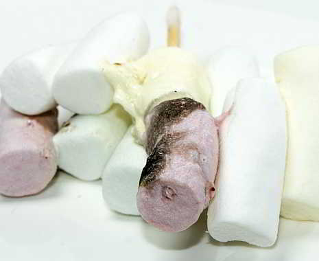 National Toasted Marshmallow Day - Tag der gerösteten Marshmallows in den USA. Kuriose Feiertage - 30. August © 2019 Sven Giese