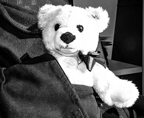 Bring Your Teddy Bear To Work Day  - Nimm-Deinen-Teddybär-mit-zur-Arbeit-oder-Schule-Tag in den USA. Kuriose Feiertage - zweiter Mittwoch im Oktober © 2019 Sven Giese