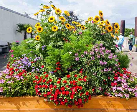 National Color Day - Tag der Farbe in den USA. Kuriose Feiertage - 22. Oktober © 2019 Sven Giese