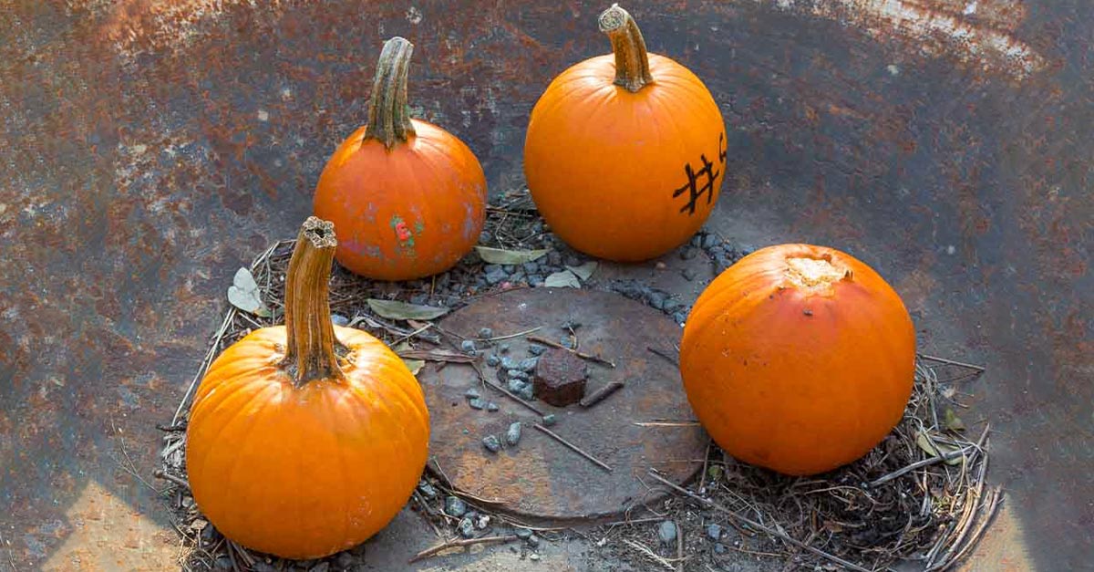 tag des kurbis national pumpkin day in den usa 26 oktober