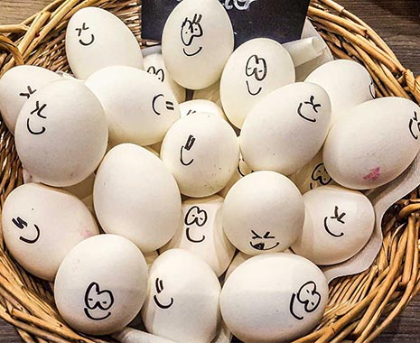 World Egg Day - Welt-Ei-Tag. Kuriose Feiertage - zweiter Freitag im Oktober 2019 © Sven Giese