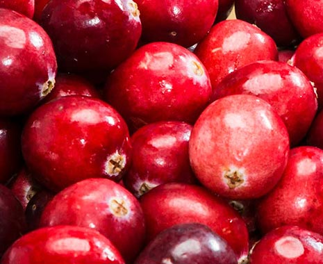 National Eat a Cranberry Day - Iss-eine-Cranberry-Tag in den USA. Kuriose Feiertage - 23. November © 2019 Sven Giese