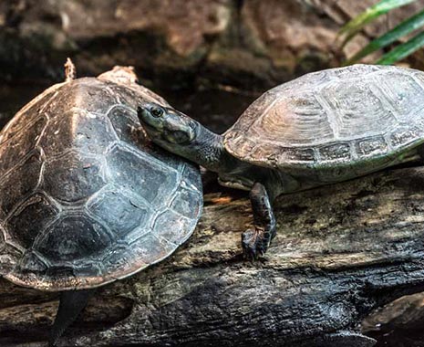 Zero Tasking Day - Tag des Nichtstuns in den USA. Kuriose Feiertage - erster Sonntag im November © 2019 Sven Giese