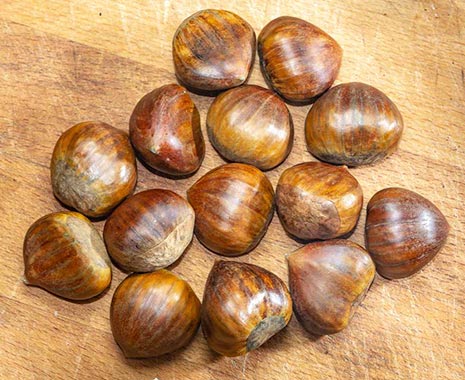 Roast Chestnuts Day - Tag der heißen Maronen in den USA. Kuriose Feiertage - 14. Dezember © 2019 Sven Giese
