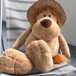 National Dress Up Your Pet Day - Zieh-dein-Haustier-an-Tag in den USA. Kuriose Feiertage - 14. Januar © 2020 Sven Giese