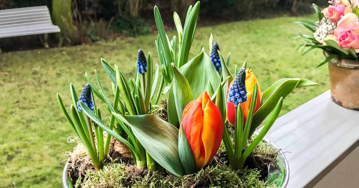 Tag der Floristik - National Floral Design Day USA - 28. Februar