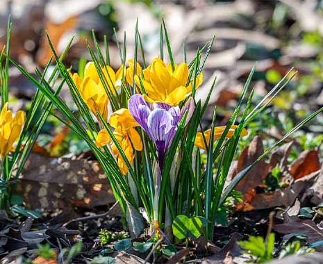 goddess of fertility day kuiose feiertage 2025 sven giese featured