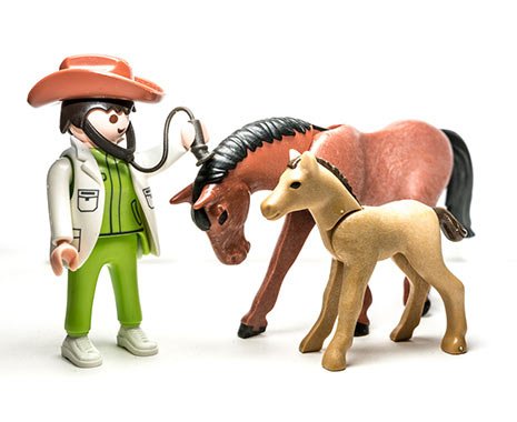 World Veterinary Day - Internationaler Tag der Tierärzte. Kuriose Feiertage - letzter Samstag im April © 2019 Sven Giese