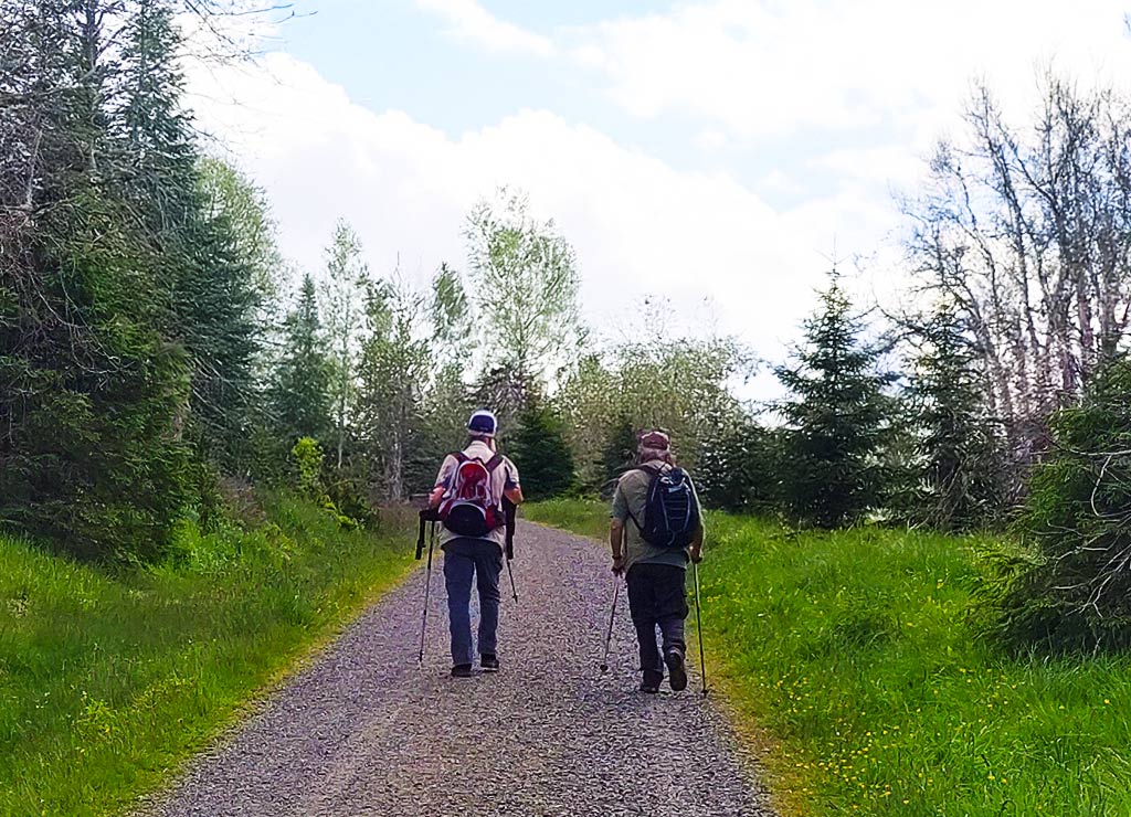 Zwei Wanderer mit Rucksack und Stöcken gehen einen Weg im Wald bei Tageslicht entlang.