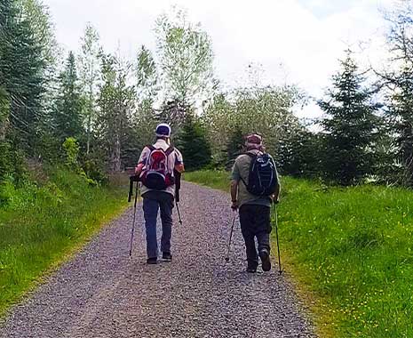 tag des wanderns kuriose feiertage 2025 sven giese featured