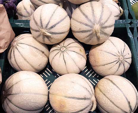 Tag der Melone in Turkmenistan. Kuriose Feiertage - zweiter Sonntag im August © 2021 Sven Giese