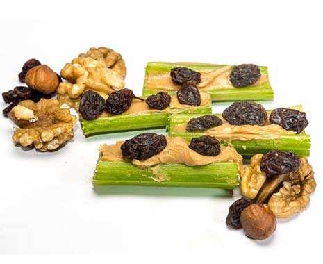 National Ants On A Log Day in den USA. Kuriose Feiertage - zweiter Dienstag im September © 2019 Sven Giese