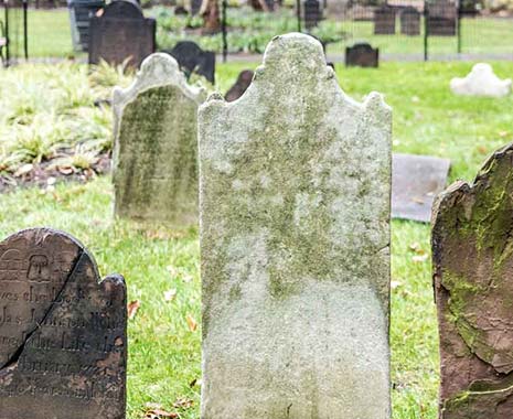 Tag des Friedhofs in Deutschland (c) 2019 Sven Giese