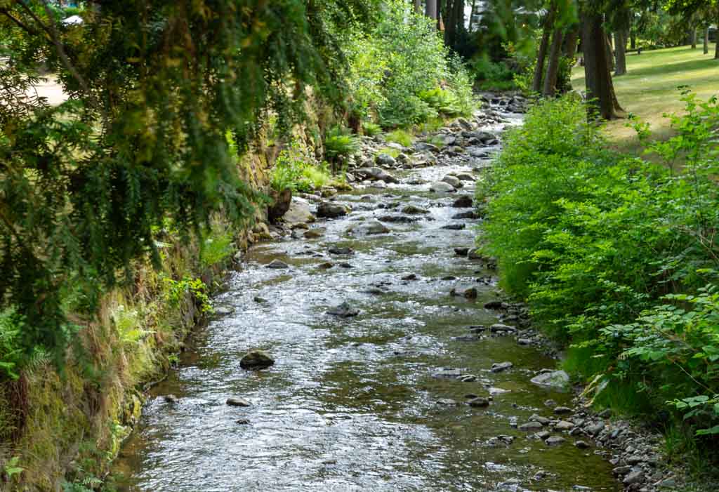 Ein klarer Fluss fließt durch eine grüne, bewaldete Landschaft.