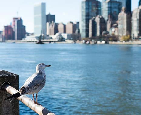 World Rivers Day - Internationaler Tag der Flüsse. Kuriose Feiertage - vierter Sonntag im September © 2019 Sven Giese