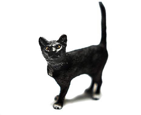 National Black Cat Day UK - Tag der schwarzen Katze in Großbritannien. Kuriose Feiertage - 27. Oktober © 2019 Sven Giese