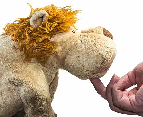 Tag des Kinnkraulens. Kuriose Feiertage - 30. Oktober © 2019 Sven Giese