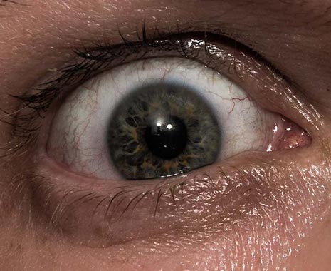 World Sight Day - Welttag des Sehens. Kuriose Feiertage - zweiter Donnerstag im Oktober © 2019 Sven Giese