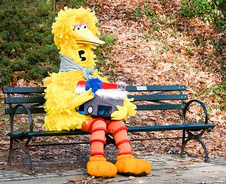 Sesame Street Day - Tag der Sesamstraße in New York. Kuriose Feiertage - 10. November © 2019 Sven Giese