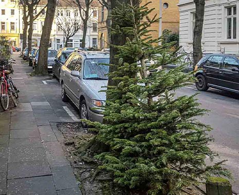 National Take Down the Christmas Tree Day - Bau-den-Weihnachtsbaum-ab-Tag in den USA. Kuriose Feiertage - 6. Januar © 2019 Sven Giese